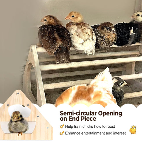 2-Pack, Set Chicken Perch Heavy Duty Roosting Bars for Chickens in Coop, Large & Small Combo for Different Breeds