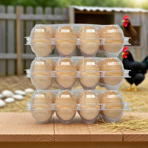 YSJFNVUI 50-Pack 12-Count 12 Count,Suitable of Plastic Egg Cartons Bulk Clear Reusable Egg Containers Holds Chicken