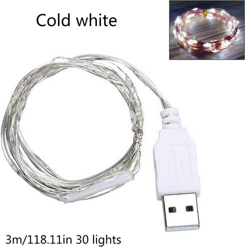 Fidt 9ft 30 LED USB String Lights - Silver Wire Fairy Lights for Wedding, Party, Christmas & Festival Decorations