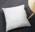 EvZ Premium Pillow Insert Sham - Square Form Polyester (18" X 18", Set of 2)