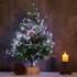 20 200LED Fairy Lights Plug in, Feet Cool White Silver Wire Firecracker Firefly Lights with Remote, Waterproof Copper