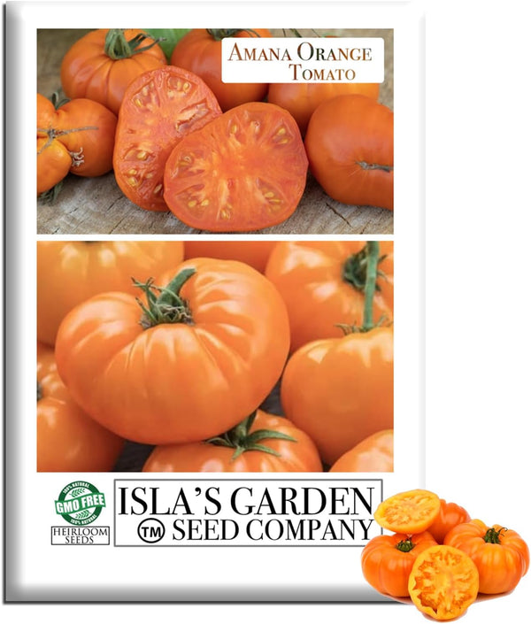Amana Orange Beefsteak Tomato Seeds (Solanum lycopersicum) 50+ Heirloom Non-GMO Seeds by