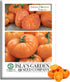 Amana Orange Beefsteak Tomato Seeds (Solanum lycopersicum) 50+ Heirloom Non-GMO Seeds by