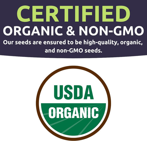 Packets! 150 Organic Matts Wild Cherry Tomato Seeds Two Seed Over Heirloom Non-GMO USDA Organic Seeds