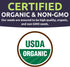 2 Packets! 500 Organic Lacinato Kale Seeds - Seed - Over Open Pollinated Heirloom Non-GMO USDA Organic Seeds