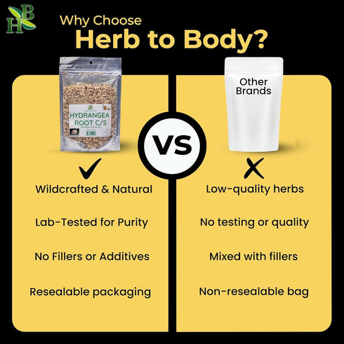 4 oz, Herb To Body Hydrangea Root Cut & Sifted - Wildcrafted Dried Hydrangeas for Herbal Tea, Hydrangea Root Tea