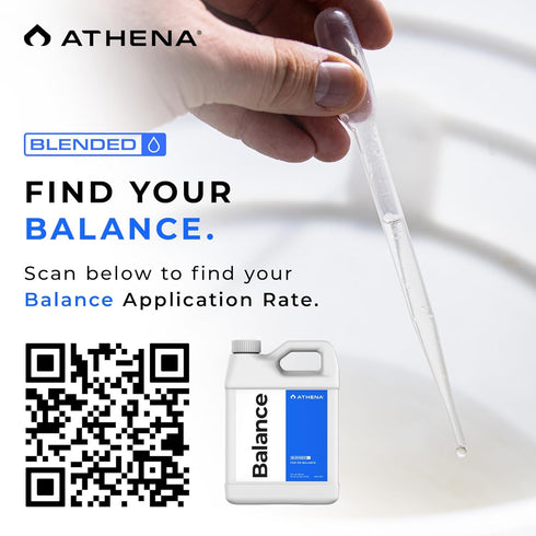32 Athena Blended Balance | Liquid pH Buffer & Stabilizer for RO Water | Formula for Hydroponics | Sediment-Free