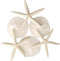 Tumbler Home Sand Dollars and Starfish for Crafts - 3 Real Starfish (4"-6") and 3 Sand Dollars (3"-3.5") in Bulk