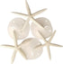 Tumbler Home Sand Dollars and Starfish for Crafts - 3 Real Starfish (4"-6") and 3 Sand Dollars (3"-3.5") in Bulk