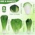 Set 5pcs Woration Green Artificial Vegetables Lifelike Lettuce Broccoli Cabbage PU Food Model Decoration for Home
