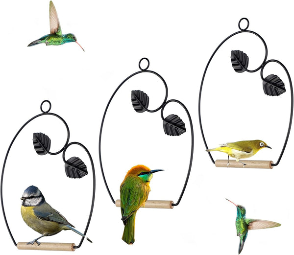 winemana Set of 3 Hummingbird Swings, Rust Resistant Metal Frame, Perfect for Hanging Indoor or Outdoor