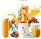 Personal Size Blender for Shakes and Smoothies, 15.6 oz Portable Blender with 10 Blades, Rechargeable Mixers for Travel