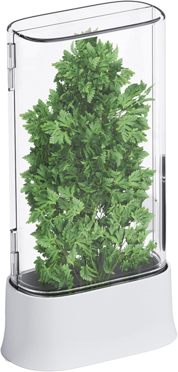 Vacane Herb Keeper for Refrigerator, Fresh Herb Saver Containers for Cilantro and Asparagus, Dishwasher Safe