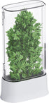 Vacane Herb Keeper for Refrigerator, Fresh Herb Saver Containers for Cilantro and Asparagus, Dishwasher Safe
