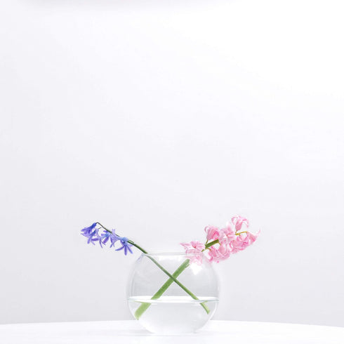 WGV Bowl Glass Vase - Diameter 6", Height 5", Clear Bubble Planter Terrarium Fish Bowl for Wedding Event Home Decor
