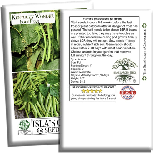 30+ Kentucky Wonder Pole Bean Seeds (Phaseolus vulgaris) Non-GMO Heirloom Seeds for Planting, Classic Climbing Variety