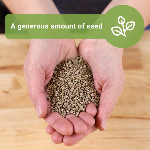 1 2400 Pack Sow Right Seeds - Bulk Bloomsdale Spinach Seeds for Planting - Ounce, Seeds - Non-GMO Heirloom Jumbo