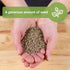1 2400 Pack Sow Right Seeds - Bulk Bloomsdale Spinach Seeds for Planting - Ounce, Seeds - Non-GMO Heirloom Jumbo