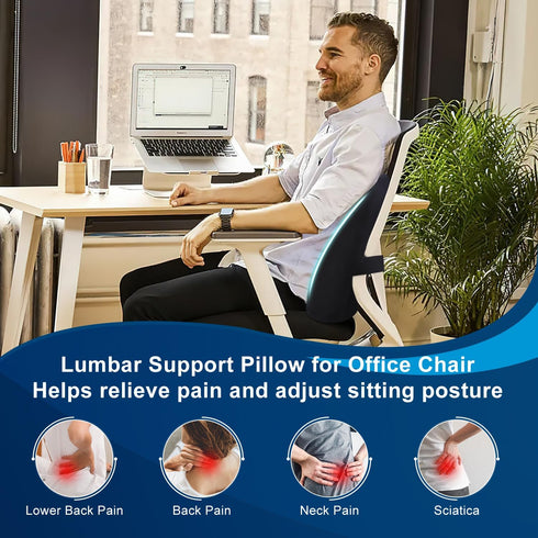 QUTOOL Lumbar Support Pillow for Office Chair, Memory Foam Low Back Support for Car, Ergonomic Back Cushion