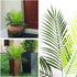Artificial Palm Plants, Plastic Tropical Palm Tree Shrubs Fake Greenery Decor for Indoor Outdoor Home Garden, 2 Pack