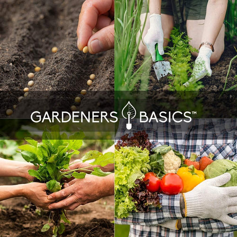 16,000 35 35 Gardeners Basics Survival Vegetable Seeds Garden Kit Over Seeds Non-GMO and Heirloom, Great for Emergency