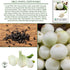 500+ Crystal White Wax Onion Seeds (Allium cepa) Non-GMO Heirloom Seeds by Islas Garden Seeds, Small Pearl-Style Onions