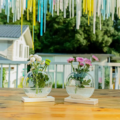 2-Pack, Kingbuy Round Glass Desktop Planter with Wooden Stand - Propagation Vase for Hydroponic Plants, Spider Plants