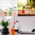 3 Pcs 8 Ounce Plastic Juice Bottles, Reusable Bulk Beverage Containers for Juice, Milk, Black Lid
