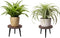 Neracking 2 Pcs 8 inch Plant Stands, Small Floor Indoor Plant Stand, Mid