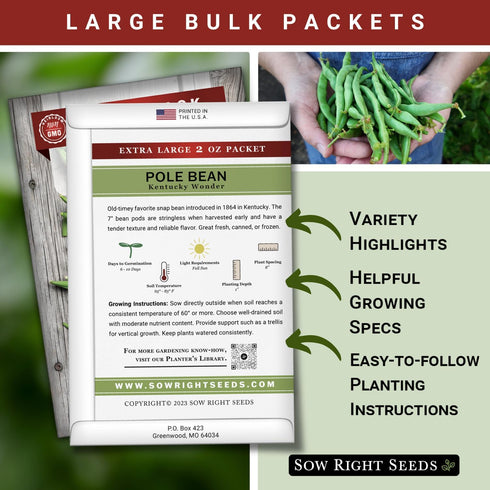 2 170 Pack Sow Right Seeds - Bulk Kentucky Wonder Pole Bean Seeds for Planting - Ounce, Seeds - Non-GMO Heirloom Jumbo