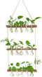 XXXFLOWER Wall Hanging Propagation Station with Wooden Stand 5 Bulb Vase 3