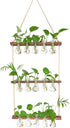 XXXFLOWER Wall Hanging Propagation Station with Wooden Stand 5 Bulb Vase 3