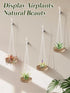 6 3" Pcs Hanging Wooden Air Plant Holder - Round Airplants Live Hanger with Ropes, Rustic Tillandsia Succulent Display