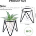 3 Bulb Jspupifip Pcs Glass Plant Terrarium with Metal Stand, Air Plants Holders Hydroponic Plant Vases Desktop Glass