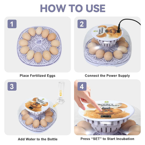 GleeGearNex 12 Gen I - Egg Automatic Incubator, Steady Humidity with Auto-Refill, Stable Temp Control, Auto Egg