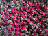 TooGet 4 OZ Organic Dried Golden-Rim Rose Buds Petals - Culinary Food Grade