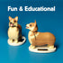 Kikkerland Solar Powered Corgi Dog Figurine: Fun Animal Decor for Home, Office, Garden, Car, Great Novelty Toy