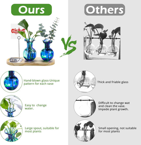 Pozfun 2 Bulb Hand Blown Glass Plant Propagation Stations Plant Terrarium Wooden Stand for Hydroponic Plants Combine