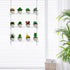 OtNiap 3-Tier 16In, Clear Hanging Window Plant Shelves Height Adjustable Acrylic , Indoor Windows Wall Hanging Plant