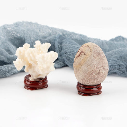 5 Pack 1" Inch AUEAR, Sphere Display Holders Wooden Egg Crystal Stands Decorative Ball Stand for Egg Pedestal Globe