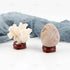 5 Pack 1" Inch AUEAR, Sphere Display Holders Wooden Egg Crystal Stands Decorative Ball Stand for Egg Pedestal Globe