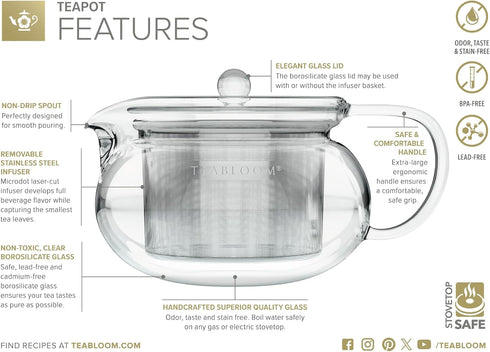 2-in-1 Teabloom Kyoto Tea Kettle and Tea Maker Glass Teapot with Removable Loose Tea Infuser Tea Connoisseur's Choice