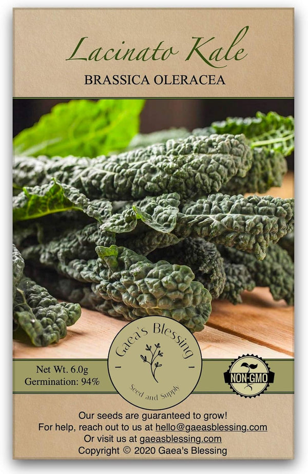 Gaea's Blessing Seeds - Lacinato Kale Seeds - Non-GMO Seeds with Easy