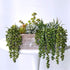 Supla 4 Pcs Artificial Hanging Succulents Faux Burro's Tail Picks for Indoor Outdoor Decor