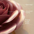 300gsm 3D Set 6) Large Paper Flowers Wall Decor for Baby Girl Nursery (Pre-Assembled) - Pearlized Cardstock Roses