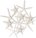 Nautical Crush Trading Starfish Decor, 5 White Starfish 4-6" and 5 Knobby Starfish 2-3.5" for Coastal Party