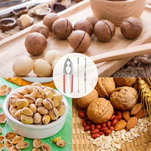 2 Nut Crackers Walnut Cracker Heavy Duty Shell Cracker Seafood Cracker Walnut Opener Tool with with Red Non-slip