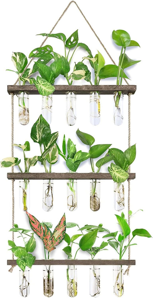 XXXFLOWER Wall Hanging Propagation Station with Wooden Stand 5 Glass Test Tubes