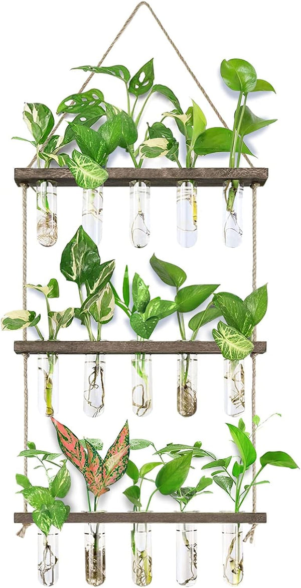 XXXFLOWER Wall Hanging Propagation Station with Wooden Stand 5 Glass Test Tubes