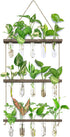 XXXFLOWER Wall Hanging Propagation Station with Wooden Stand 5 Glass Test Tubes